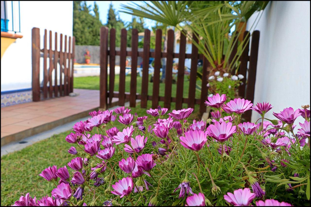 Chalet Con Piscina En Roche Viejo Conil De La Frontera Dış mekan fotoğraf